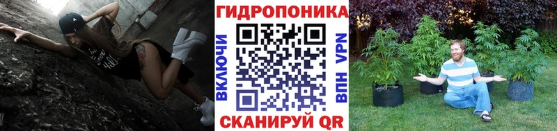 Купить наркотики цена Стрежевой Alpha PVP Бошки Шишки Мефедрон ГАШ