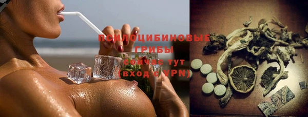 2c-b Саяногорск